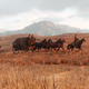 Image for article titled Inside Rockstar Games' Culture Of Crunch